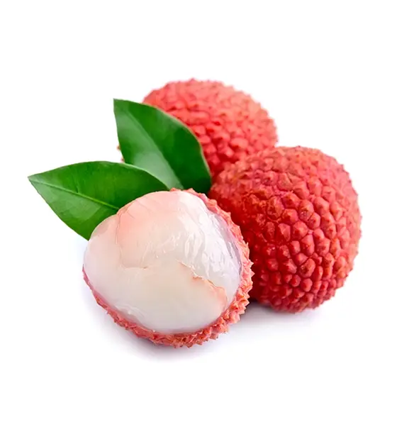 Fresh lychees on the branch