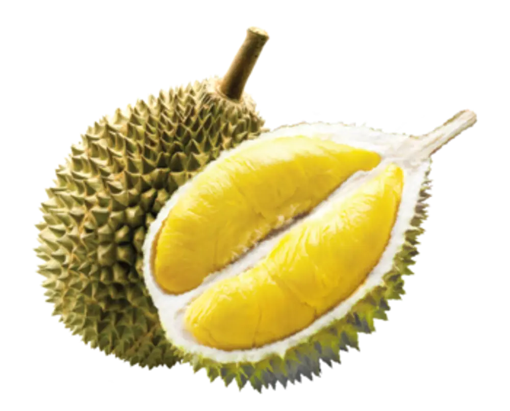 Musang King durian, halved to show the golden flesh