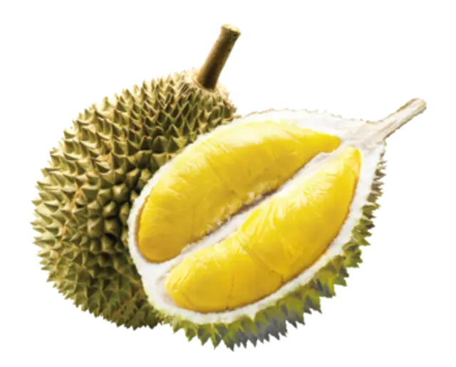 Musang King durian, halved to show the golden flesh