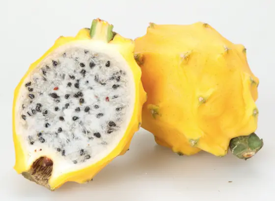 Golden pitahaya with white flesh and black seeds