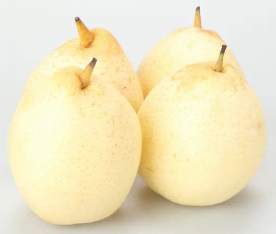 Ya pears