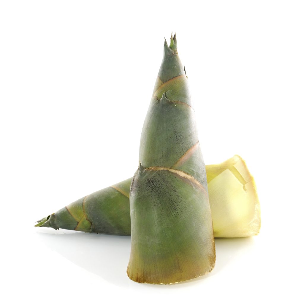 green-bamboo-shoot-jan-fruits